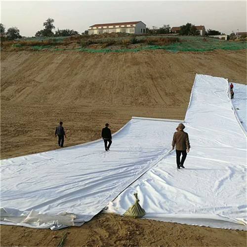 HDPE土工膜的生產(chǎn)制造全過程及質(zhì)量管理